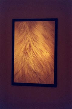 Art Canada Institute, Michael Snow, Recombinant, 1992