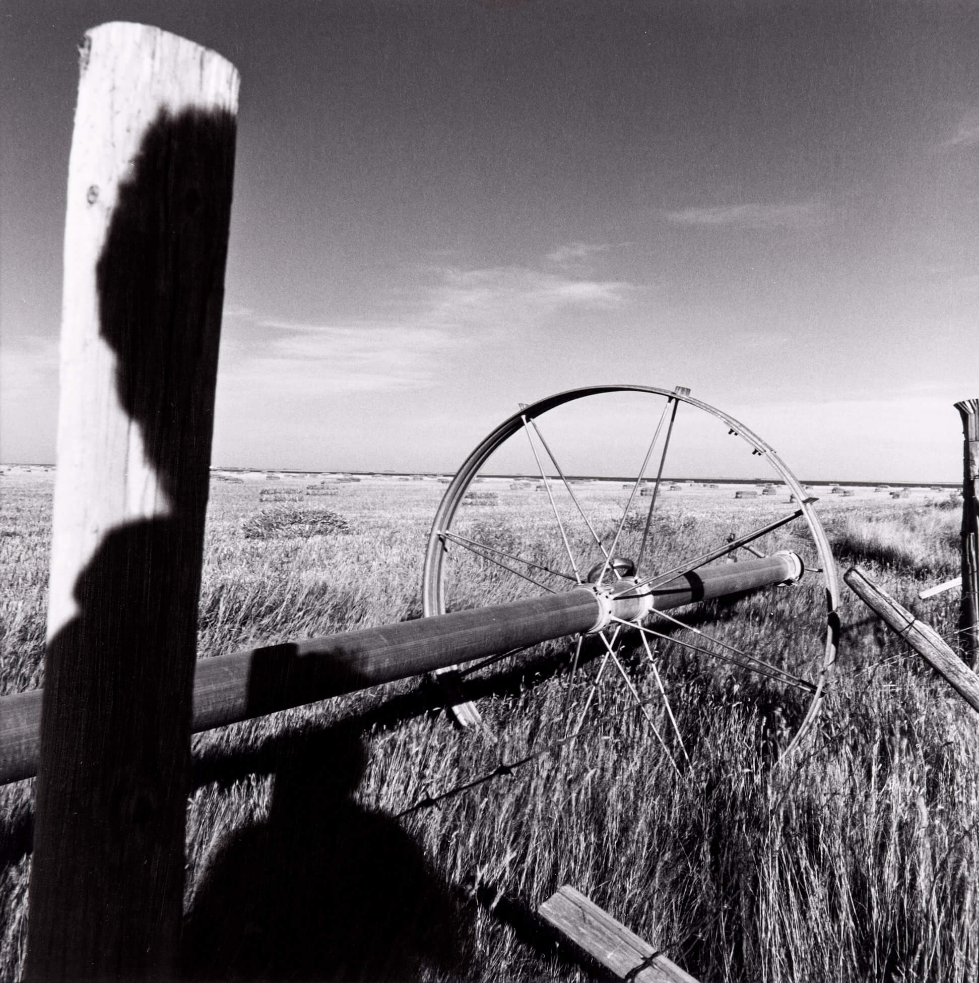 Nishimura, Arthur (né en 1946, Raymond, Alberta)