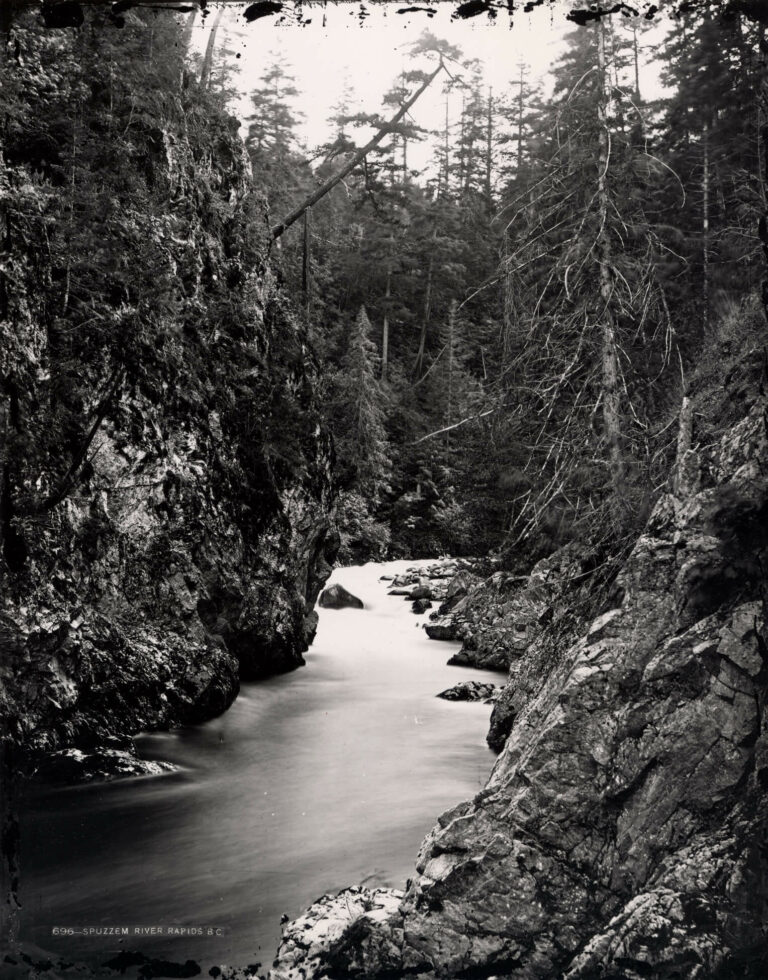 Baltzly, Benjamin (1835, Sugar Creek, comté de Tuscarawas, Ohio - 1883, Cambridge, Massachusetts) 
