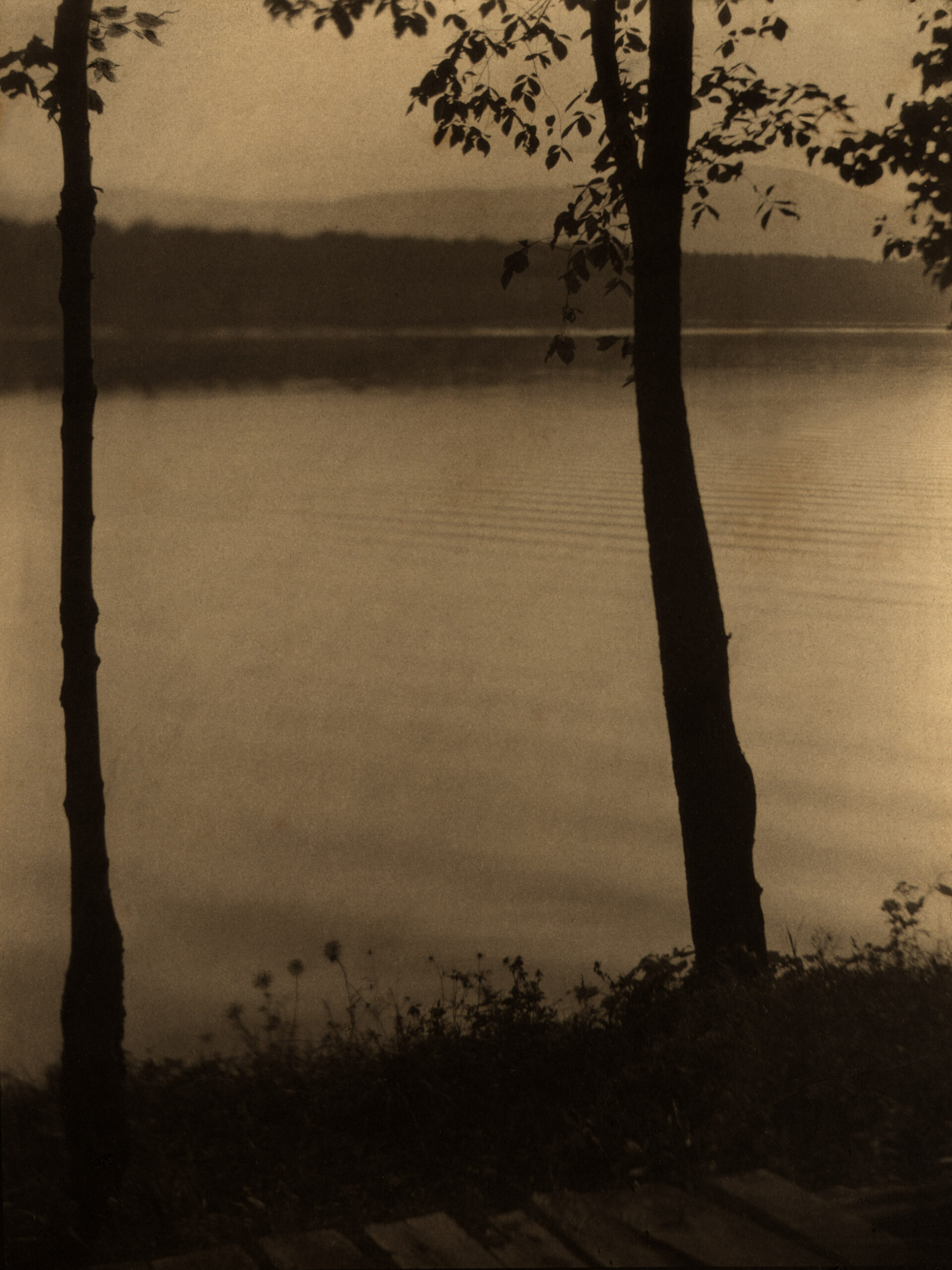 Evening