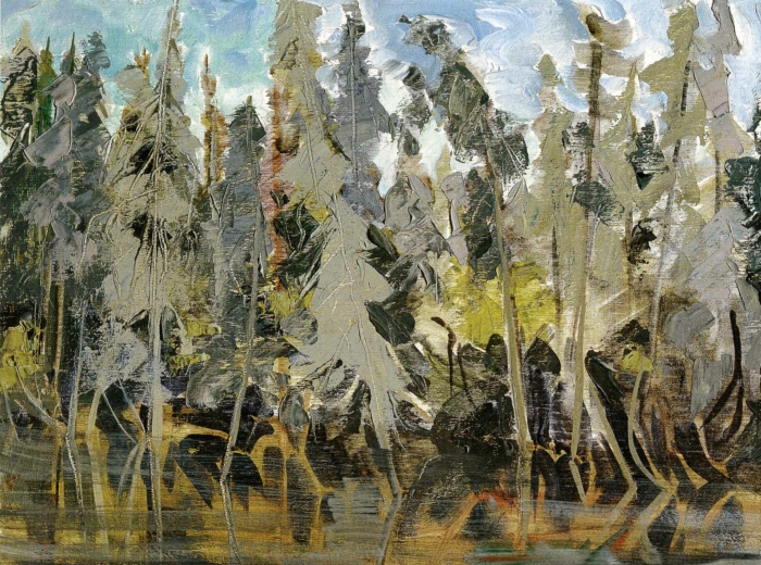 Grey Spruce in the Ditch, 1977