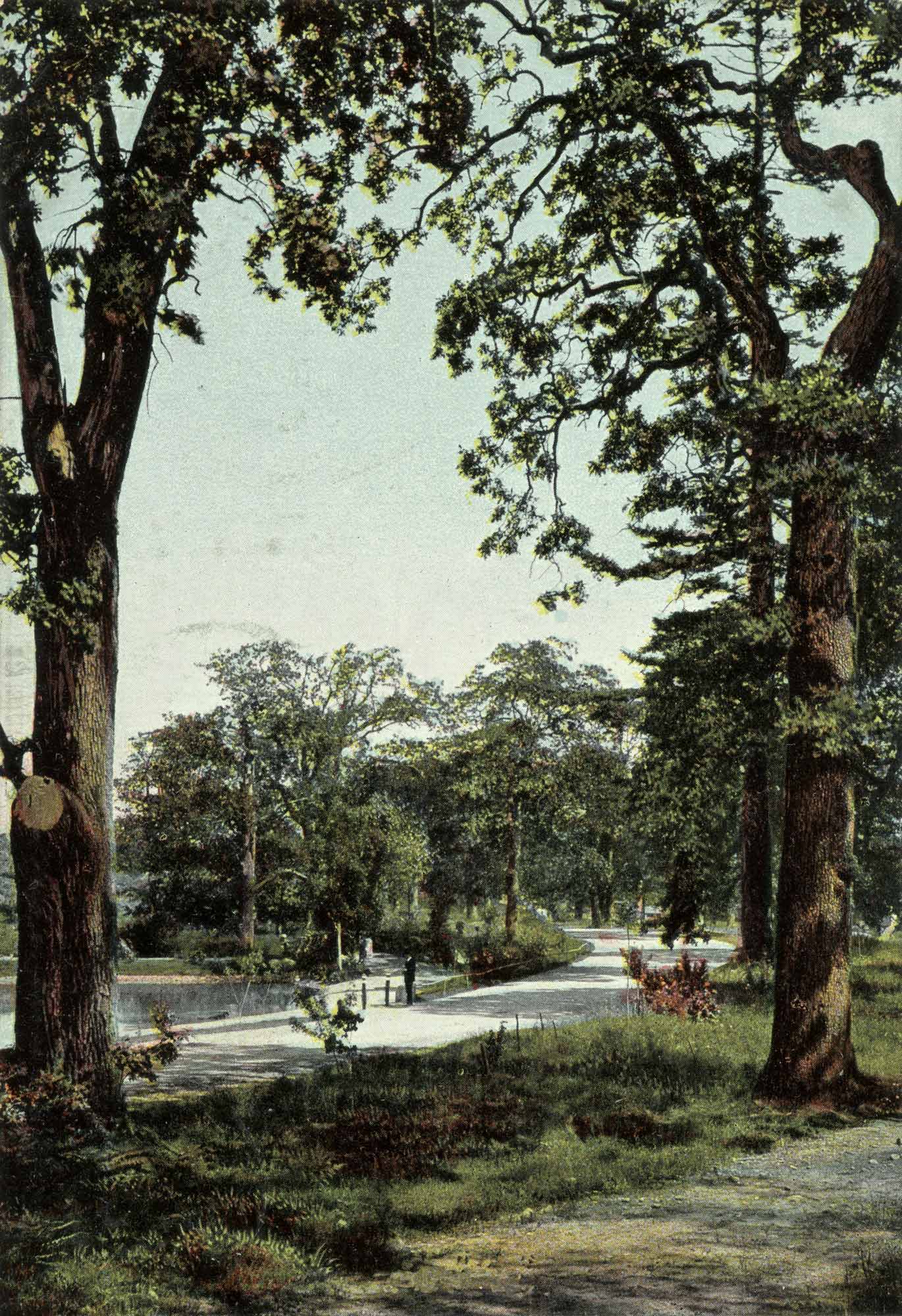 A postcard photo of Beacon Hill Park.