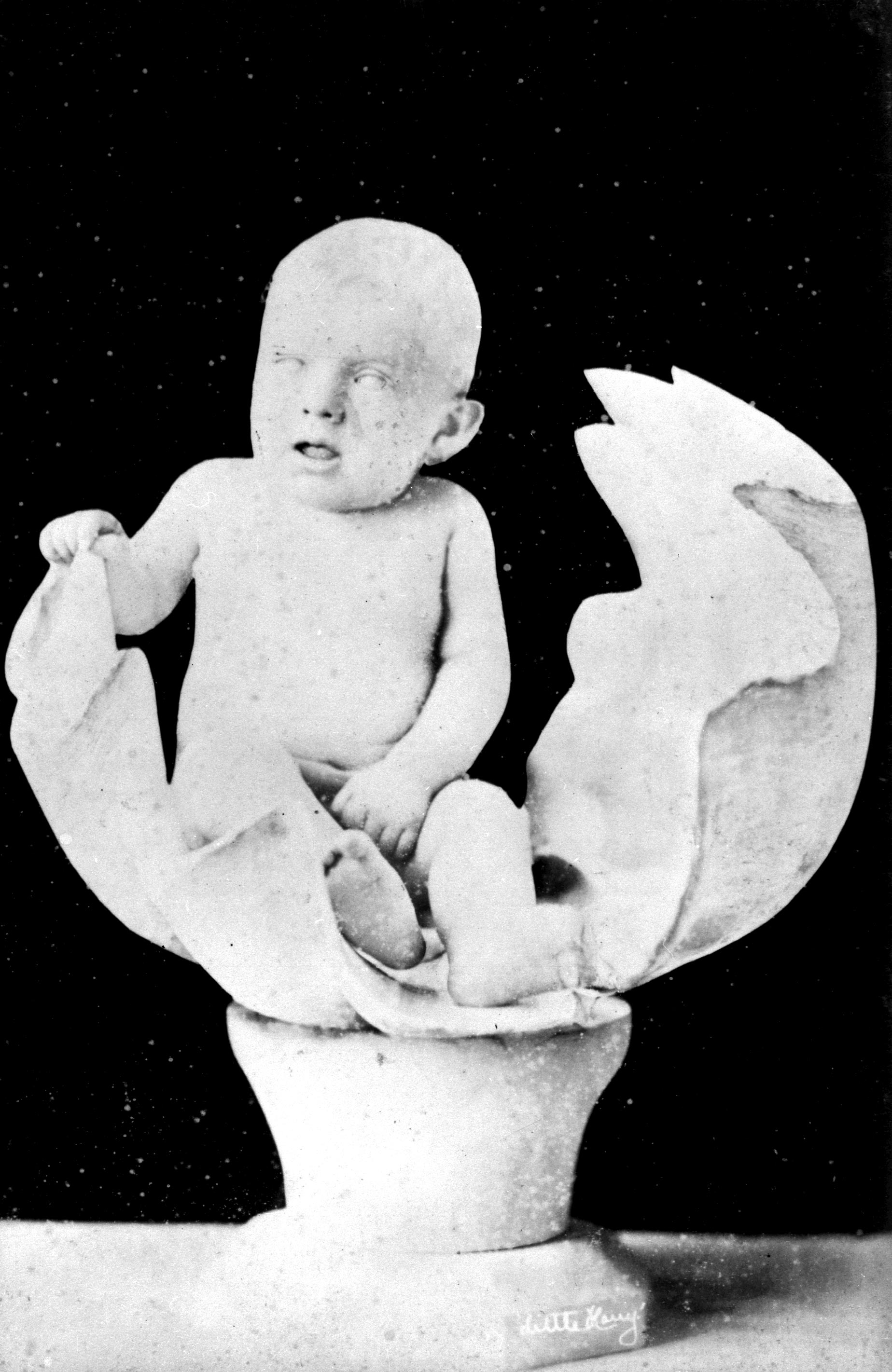 A black and white photograph of a baby in a clam shell.