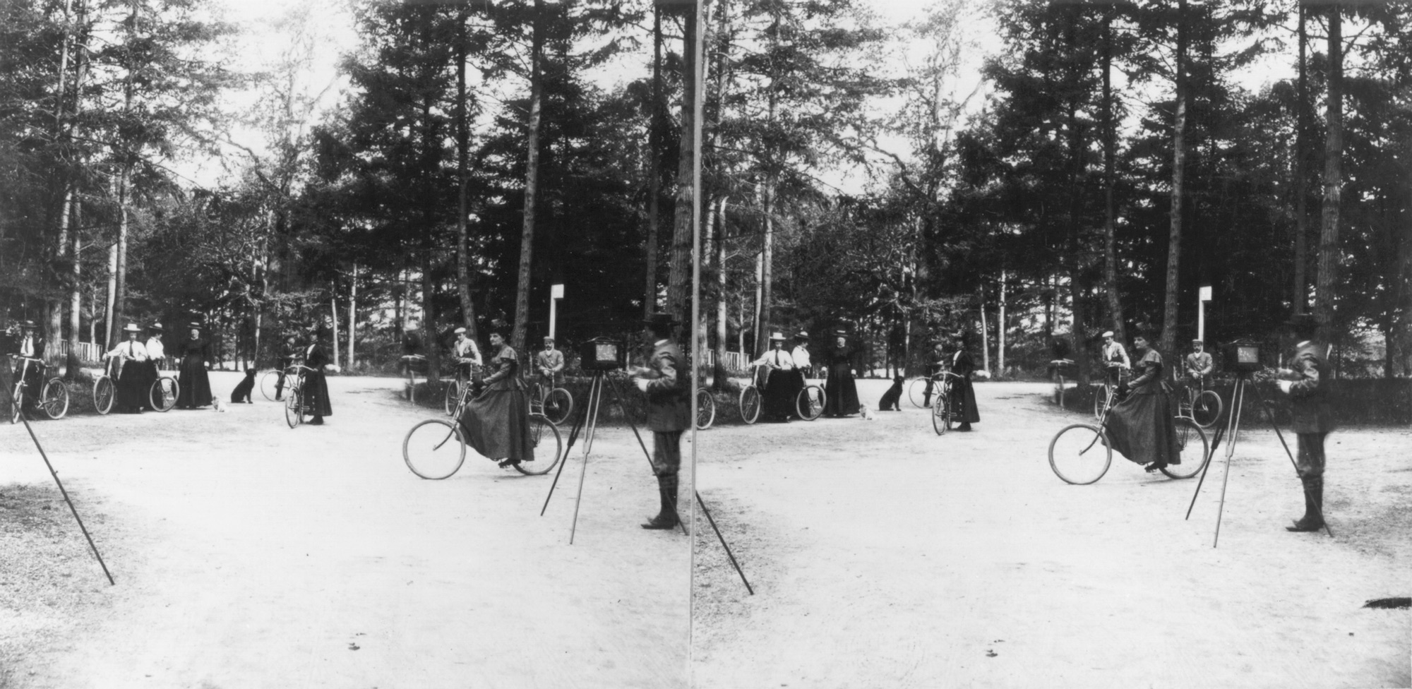 A black and white photograph of bicycles in a park.