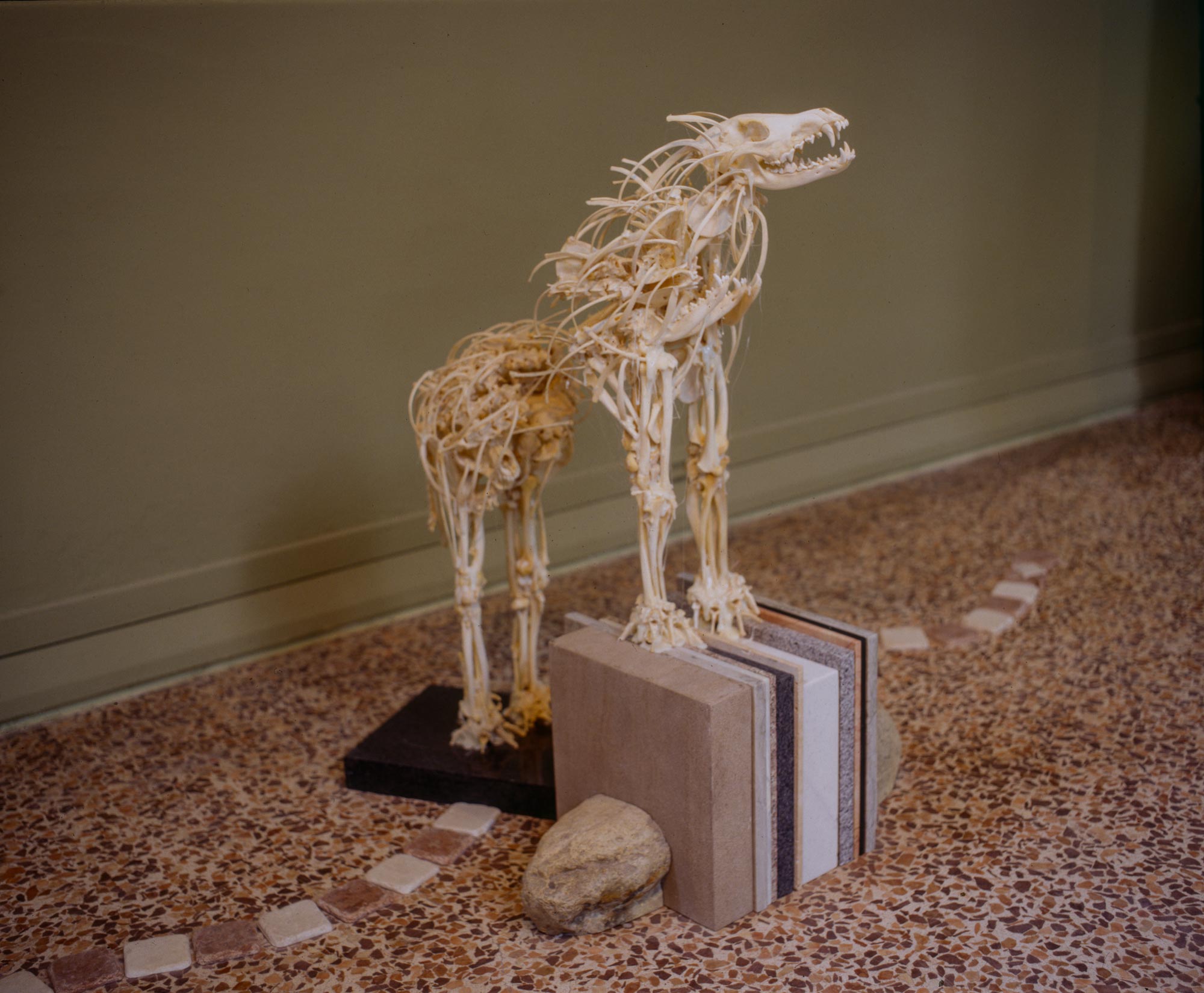 Edward Poitras (b.1953) 